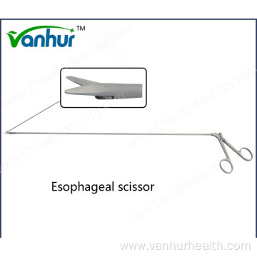 Surgical Instruments Esophagoscopy Esophageal Scissors